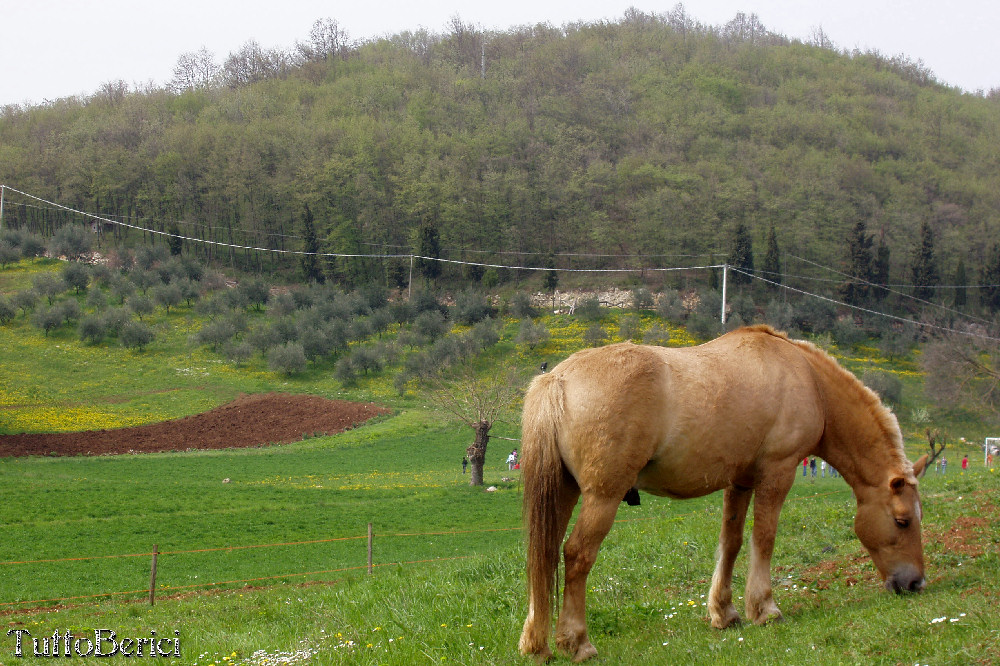 Altopiano di Pozzolo e Eremo San Donato a Villaga