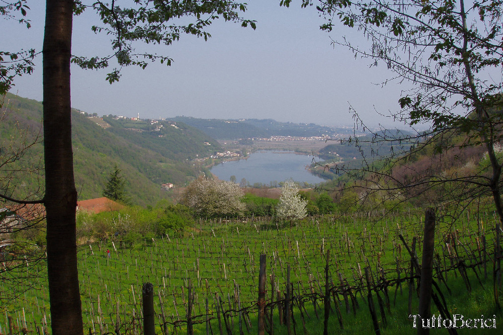 Lago di Fimon, Villabalzana