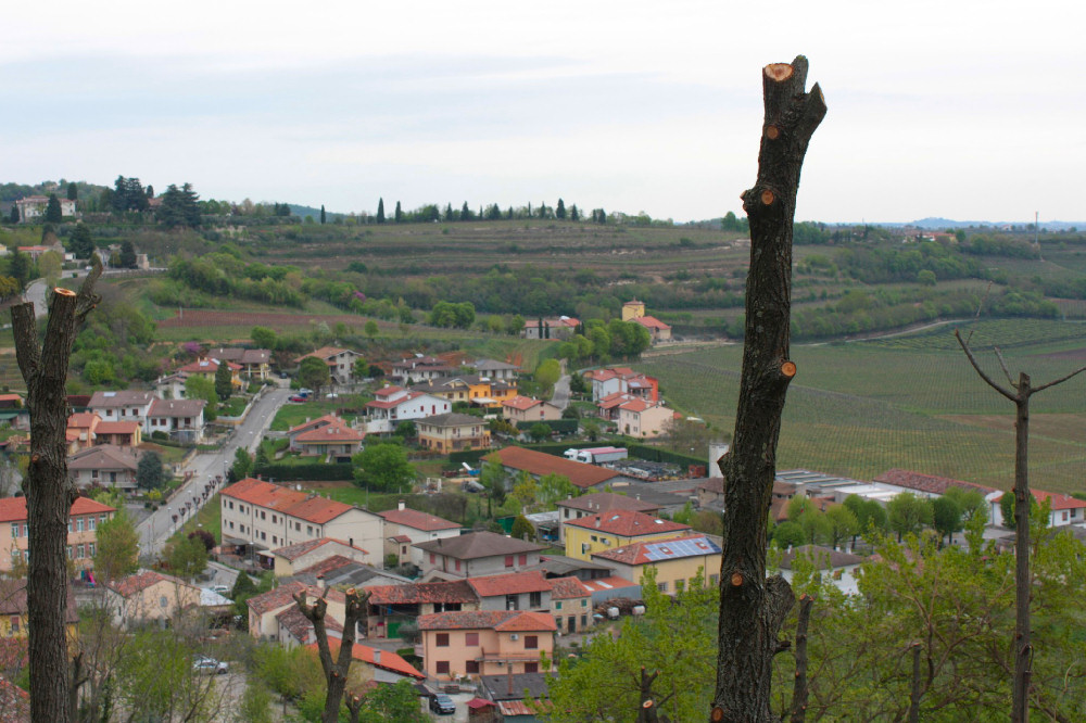 Villaga, San Donato, Scudellette, monte Cengia, Barbarano Vicentino