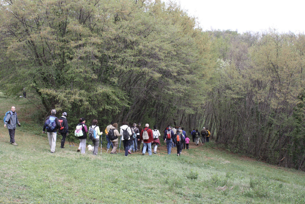 Villaga, San Donato, Scudellette, monte Cengia, Barbarano Vicentino