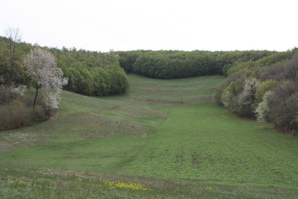 Villaga, San Donato, Scudellette, monte Cengia, Barbarano Vicentino