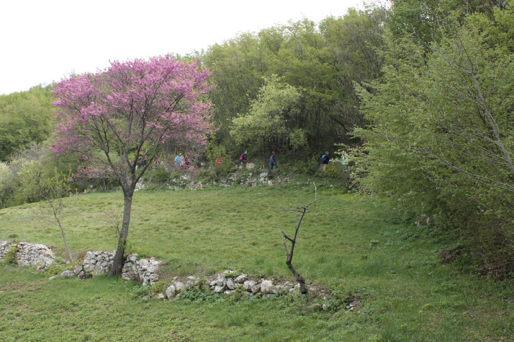 Villaga, San Donato, Scudellette, monte Cengia, Barbarano Vicentino