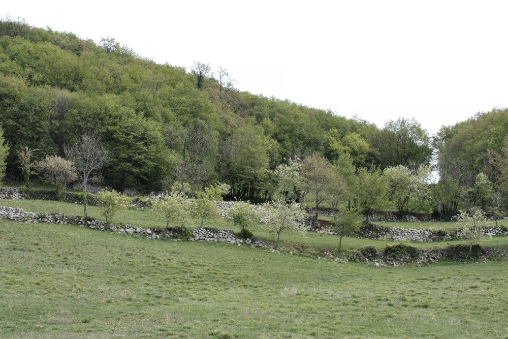 Villaga, San Donato, Scudellette, monte Cengia, Barbarano Vicentino