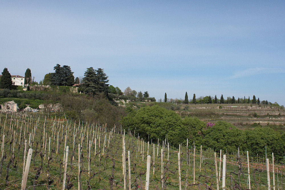 Villaga, San Donato, Scudellette, monte Cengia, Barbarano Vicentino