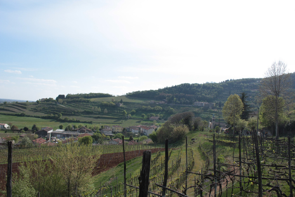 Villaga, San Donato, Scudellette, monte Cengia, Barbarano Vicentino