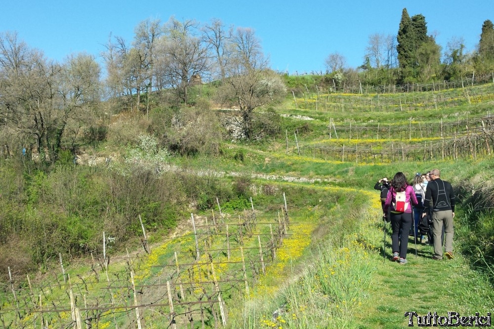 Sossano,Borgo di Campolongo,San Germano dei Berici,Monte Cistorello,Riveselle di Toara,Villaga