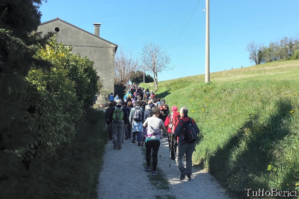 Sossano,Borgo di Campolongo,San Germano dei Berici,Monte Cistorello,Riveselle di Toara,Villaga