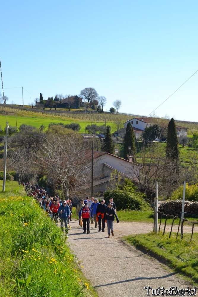 Sossano,Borgo di Campolongo,San Germano dei Berici,Monte Cistorello,Riveselle di Toara,Villaga