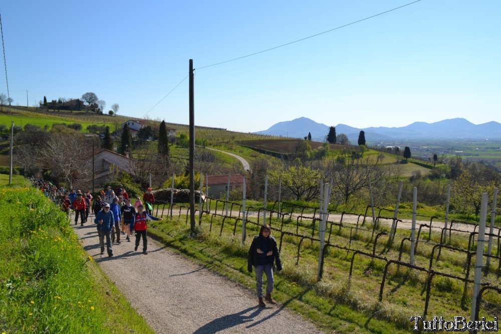 Sossano,Borgo di Campolongo,San Germano dei Berici,Monte Cistorello,Riveselle di Toara,Villaga