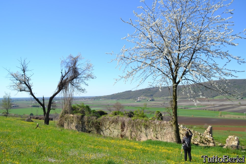 Sossano,Borgo di Campolongo,San Germano dei Berici,Monte Cistorello,Riveselle di Toara,Villaga