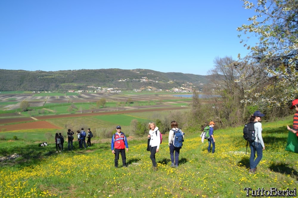 Sossano,Borgo di Campolongo,San Germano dei Berici,Monte Cistorello,Riveselle di Toara,Villaga