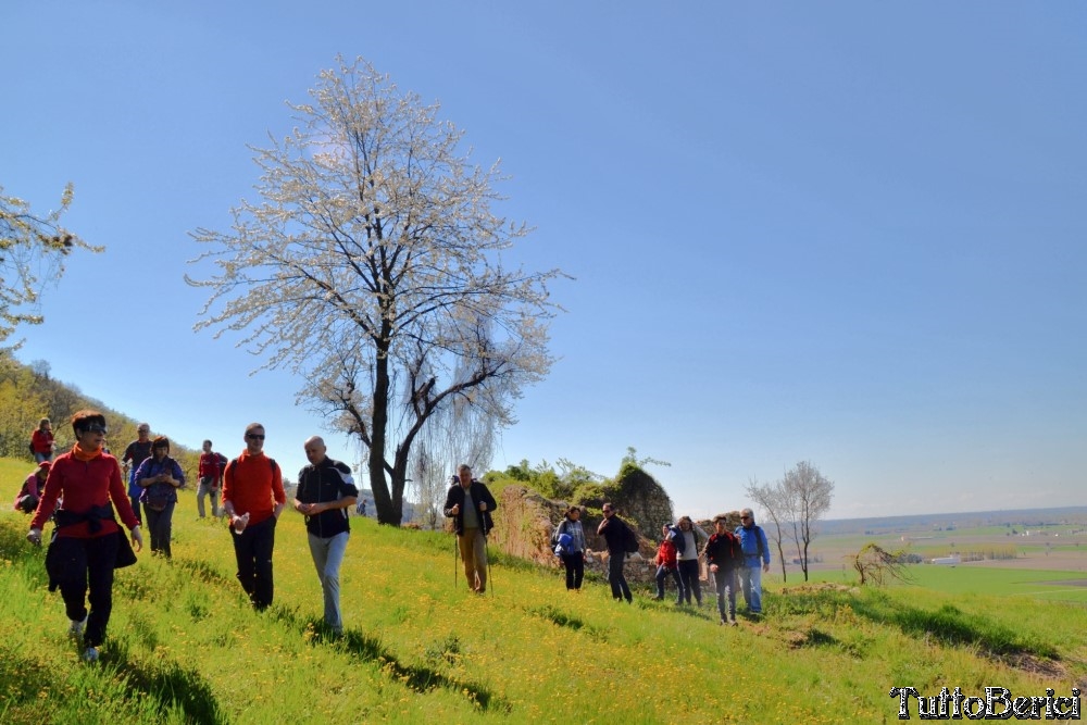 Sossano,Borgo di Campolongo,San Germano dei Berici,Monte Cistorello,Riveselle di Toara,Villaga