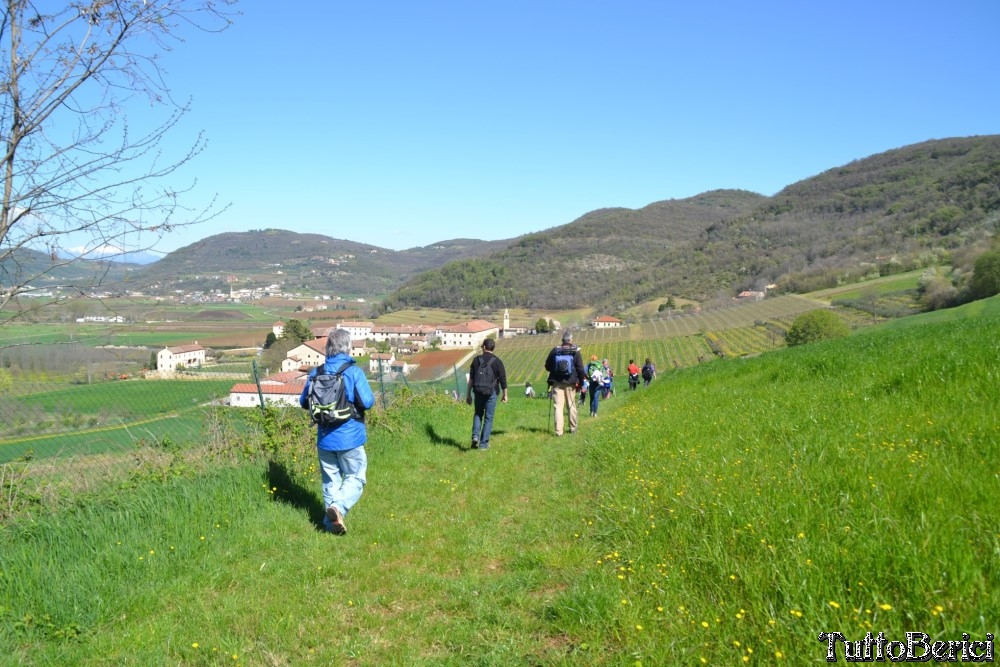 Sossano,Borgo di Campolongo,San Germano dei Berici,Monte Cistorello,Riveselle di Toara,Villaga