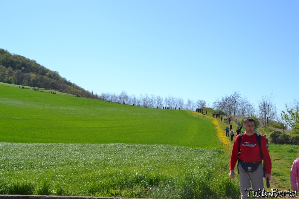 Sossano,Borgo di Campolongo,San Germano dei Berici,Monte Cistorello,Riveselle di Toara,Villaga