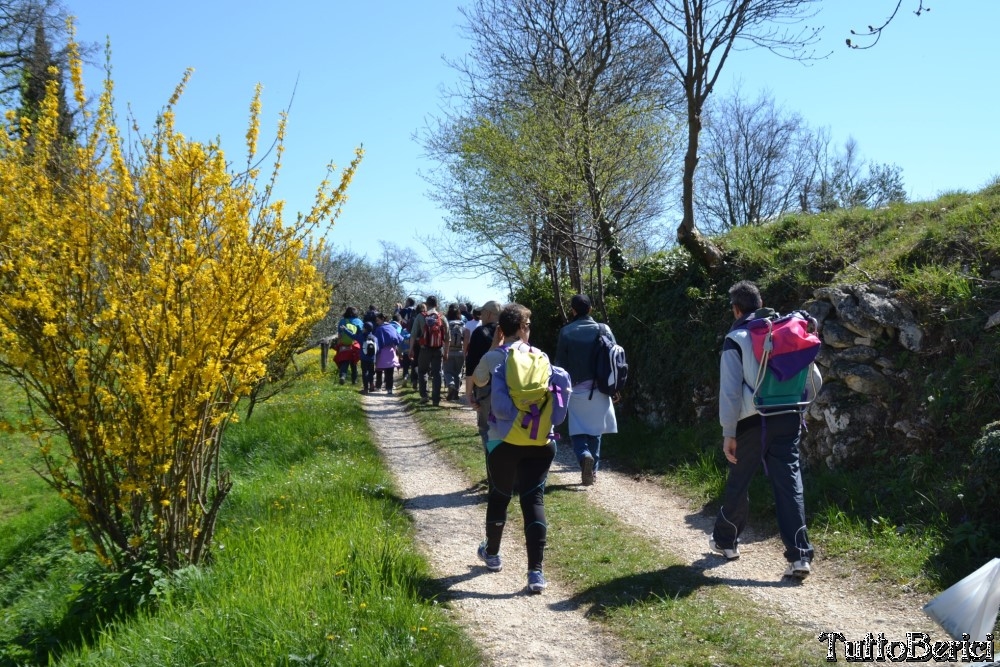 Sossano,Borgo di Campolongo,San Germano dei Berici,Monte Cistorello,Riveselle di Toara,Villaga