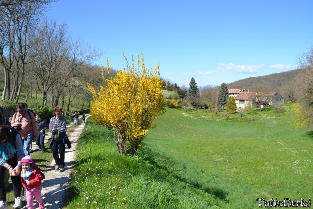 Sossano,Borgo di Campolongo,San Germano dei Berici,Monte Cistorello,Riveselle di Toara,Villaga