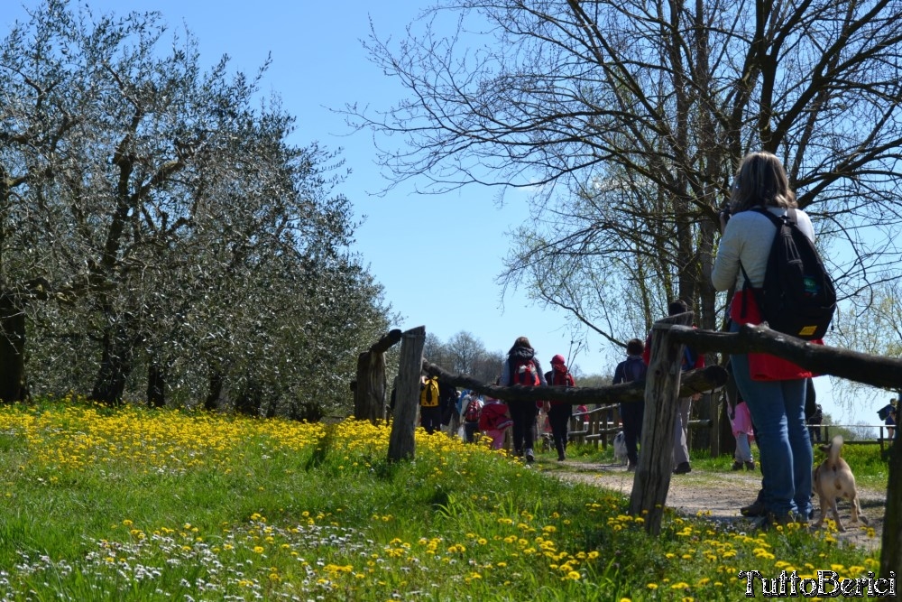 Sossano,Borgo di Campolongo,San Germano dei Berici,Monte Cistorello,Riveselle di Toara,Villaga