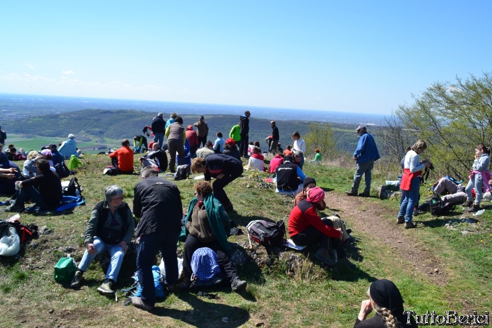 Sossano,Borgo di Campolongo,San Germano dei Berici,Monte Cistorello,Riveselle di Toara,Villaga