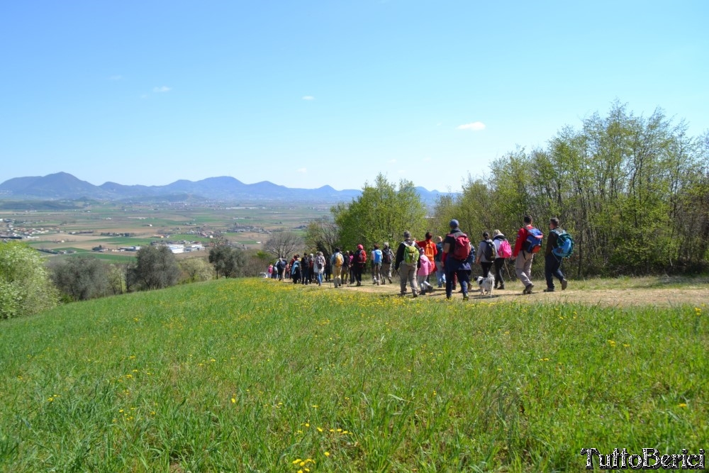 Sossano,Borgo di Campolongo,San Germano dei Berici,Monte Cistorello,Riveselle di Toara,Villaga