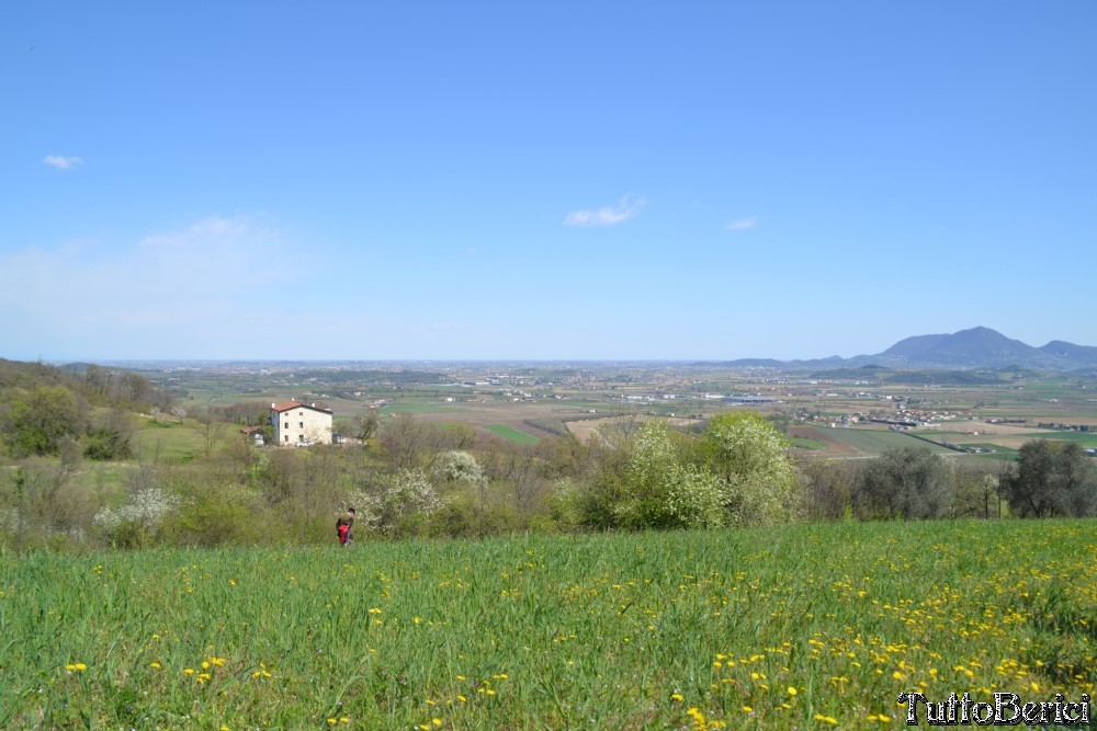 Sossano,Borgo di Campolongo,San Germano dei Berici,Monte Cistorello,Riveselle di Toara,Villaga